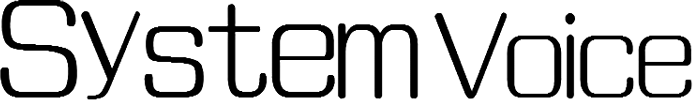 System Voice